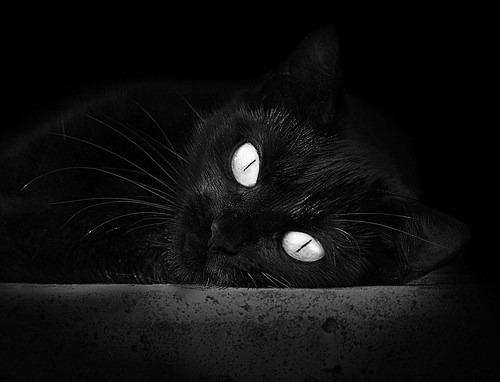 CBA联盟发布新赛季形象口号引发球迷热议,cba2021口号