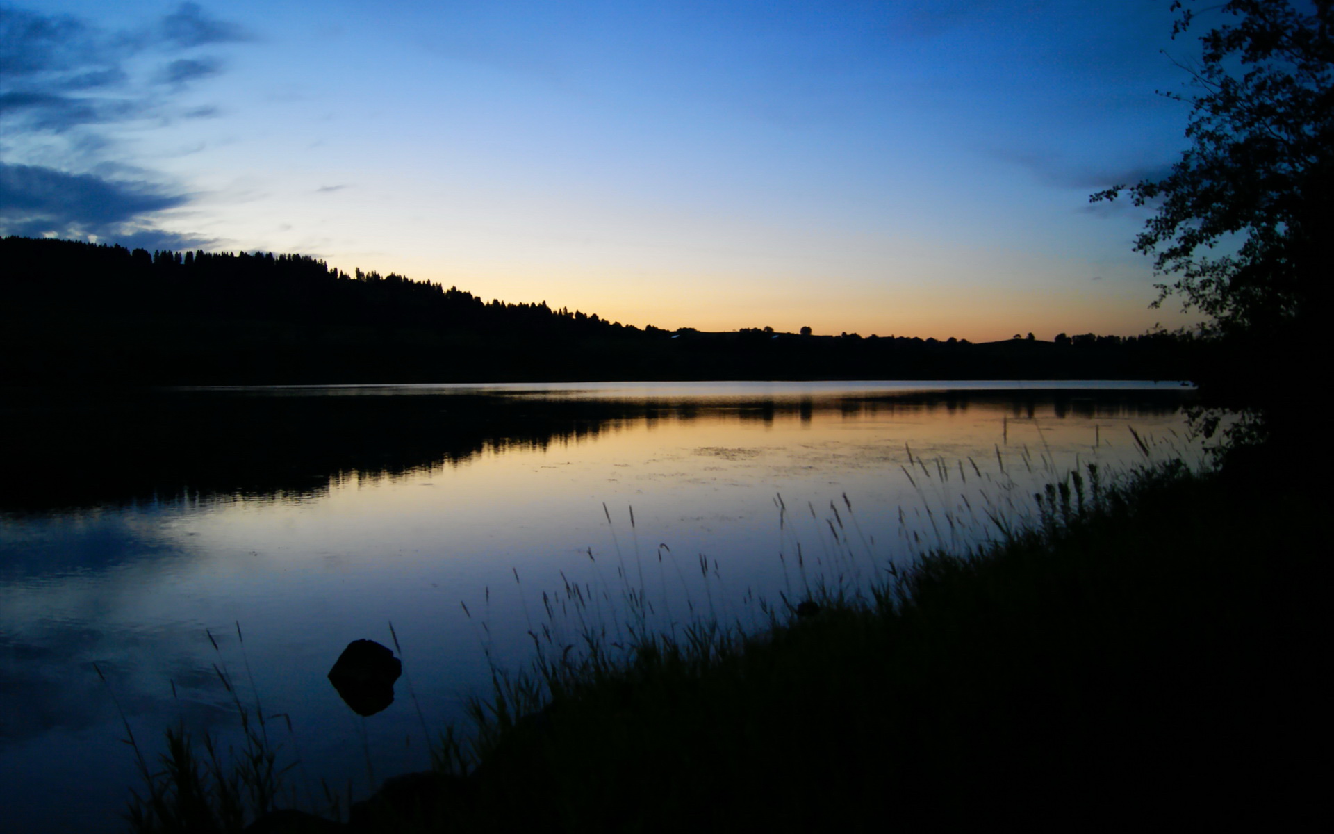 “成都滑轮赛场:谁将成为滑轮运动的新王者?”