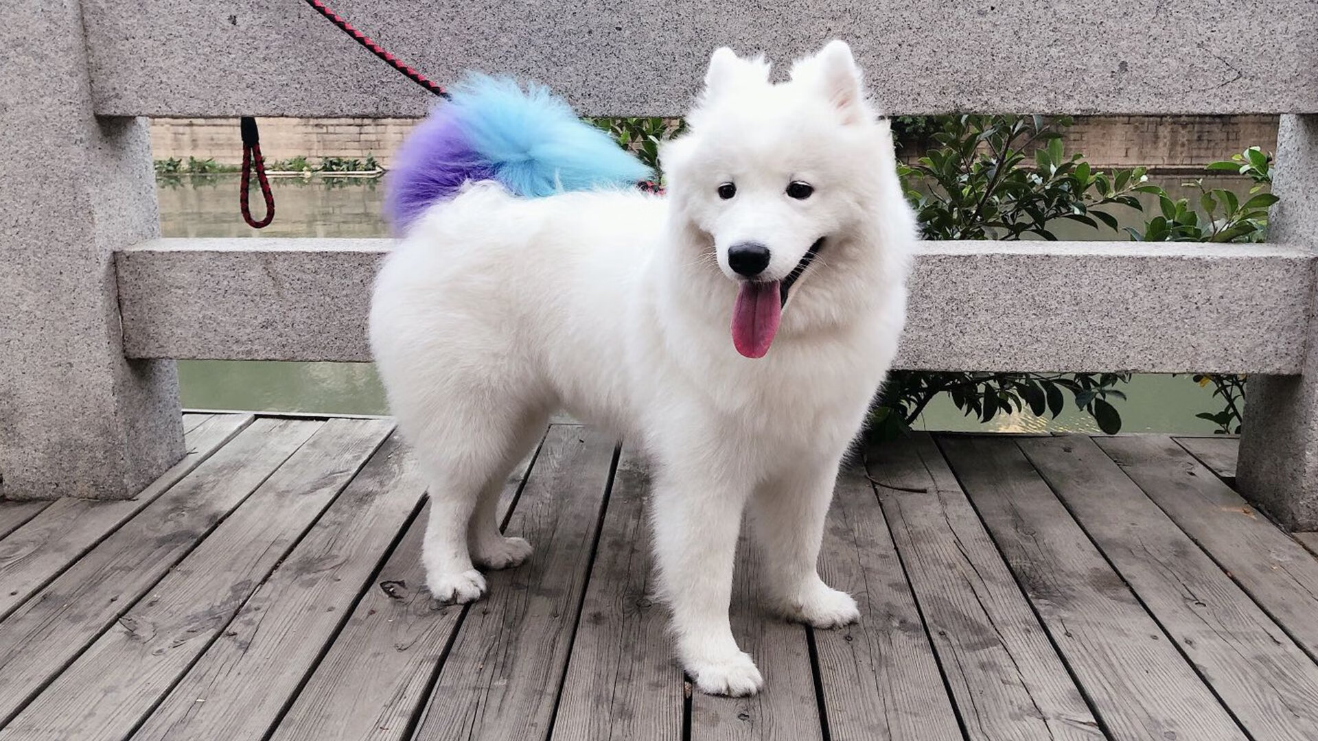 持球突破型球员如何避免进攻犯规,持球突破时防守人哪些动作是犯规的