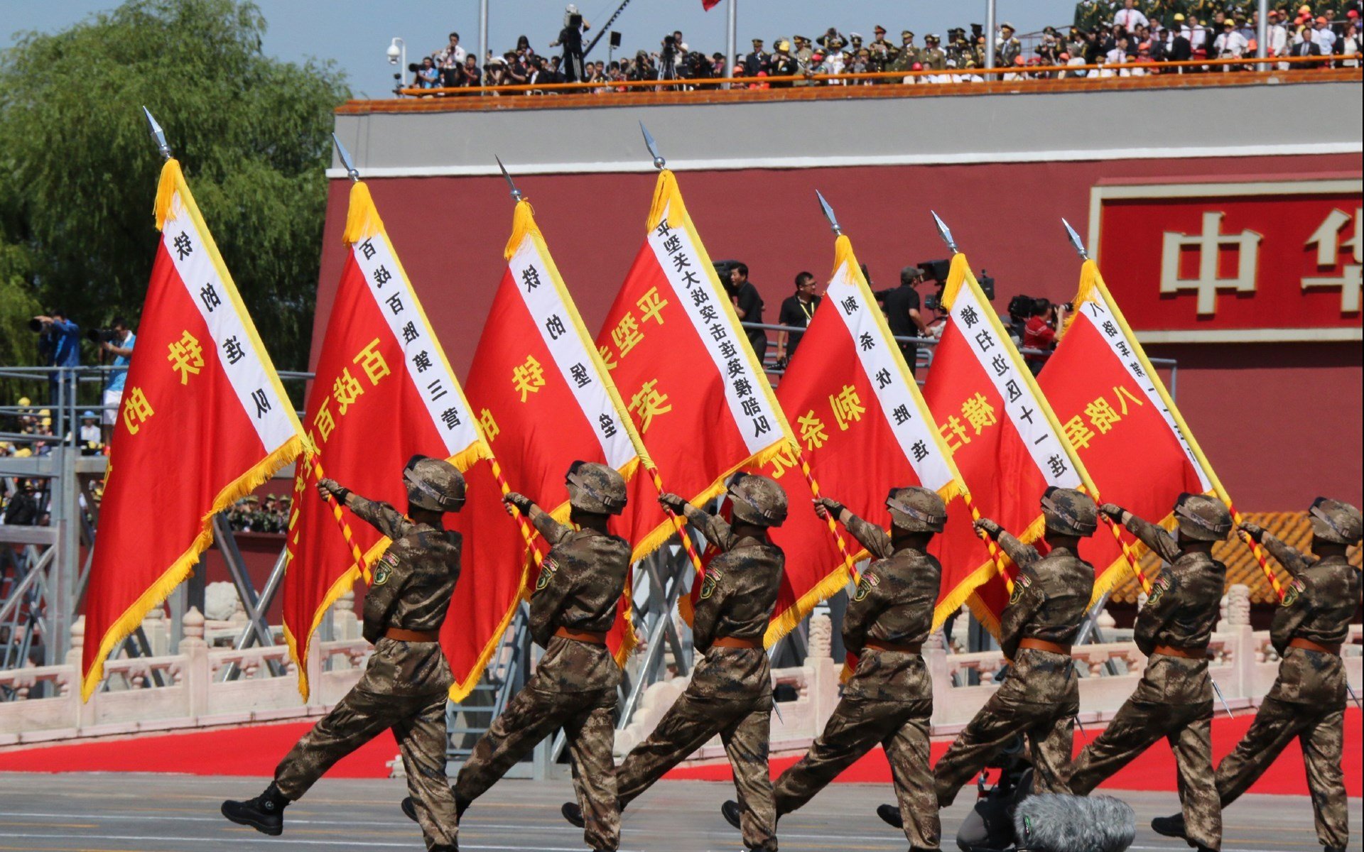 自由泳短距离德国选手表现积极,自由泳世界第一