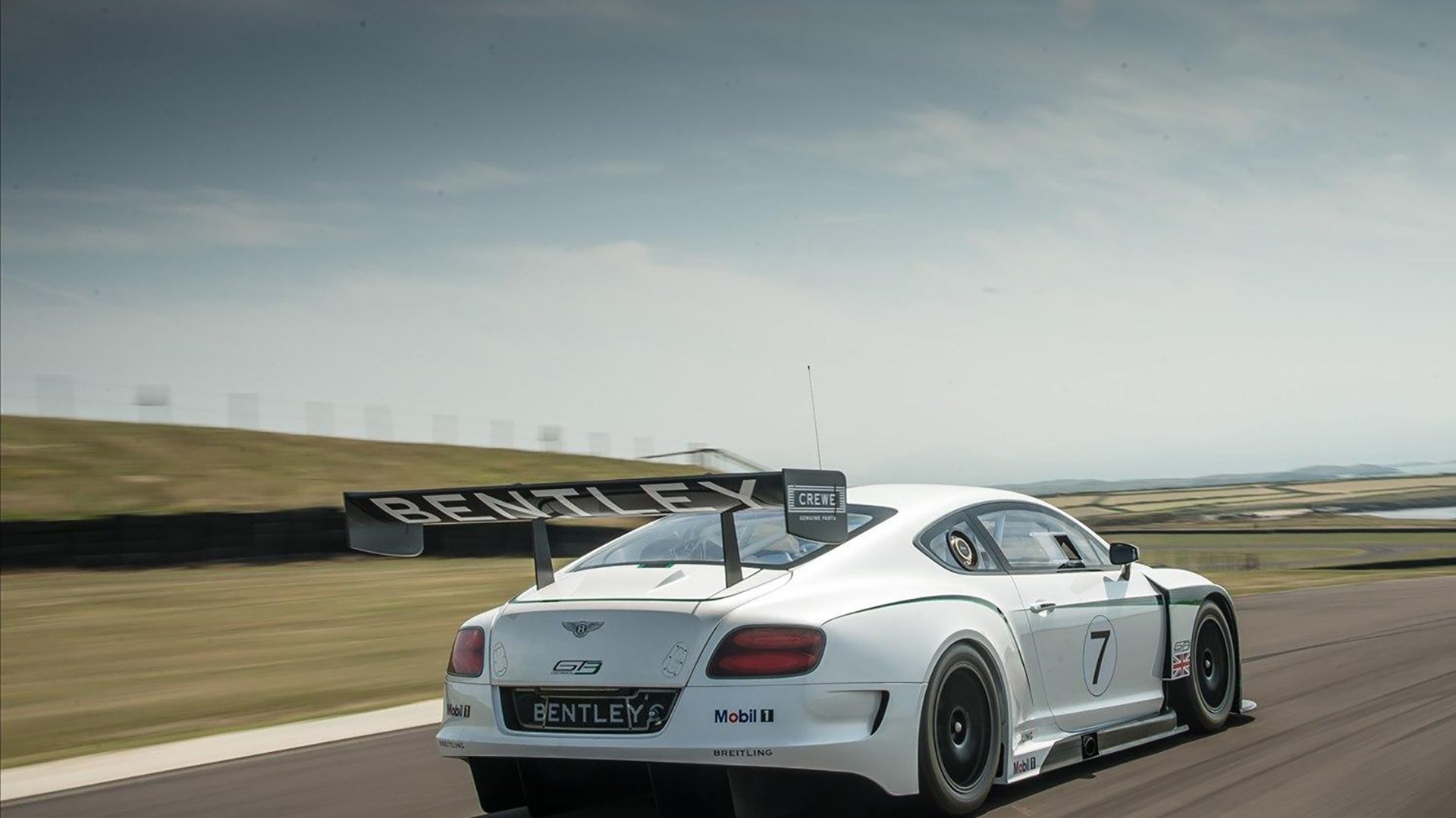 希腊女篮在欧洲锦标赛中继续豪夺冠军,荣耀传承不息,希腊女球迷