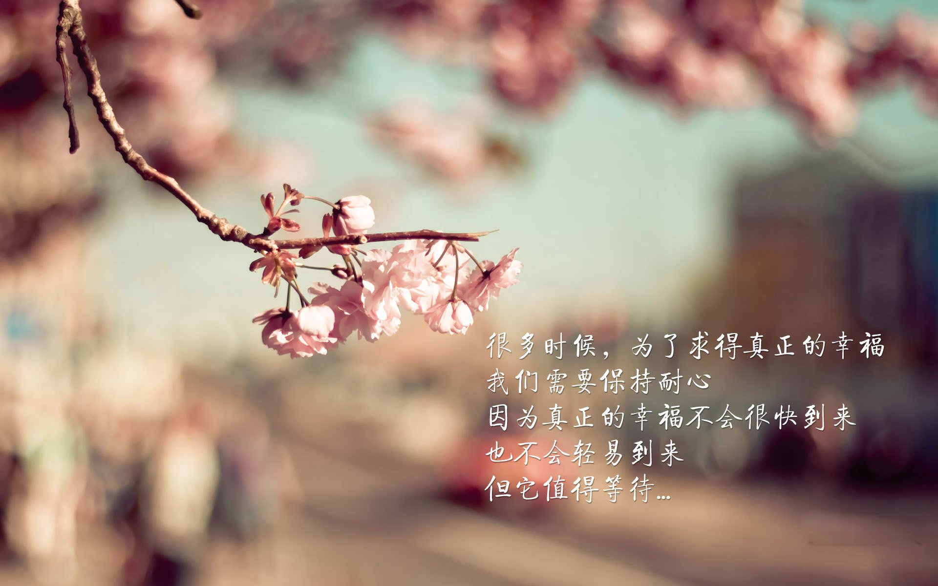 乐鱼体育(中国)官方网站-年轻跳水运动员崭露头角，未来可期，年轻的跳水运动员