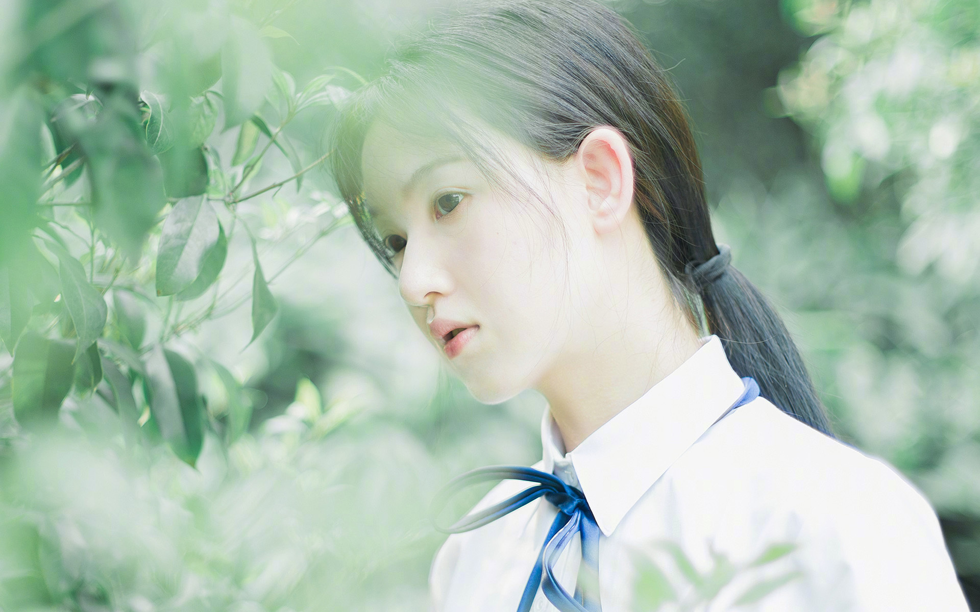 意甲战术大变革:组阵、奇兵引领潮流!,意甲介绍