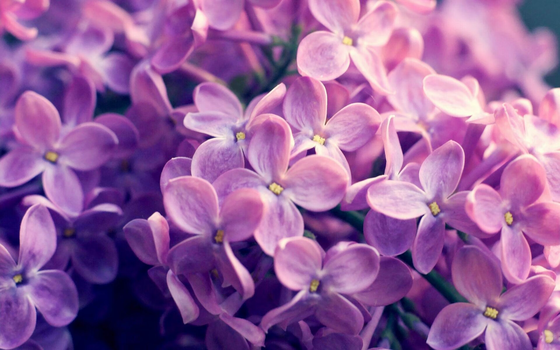 乐鱼电竞· (中国)官方网站-法甲新星崭露头角：未来之光闪耀赛场！，足坛未来之星